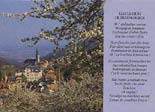 Cliquer pour agrandir